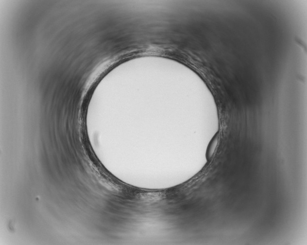 X0000099320102200805301224