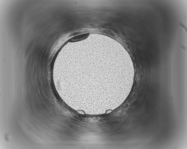 X0000099320103200805301224