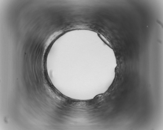 X0000099320104200805301224