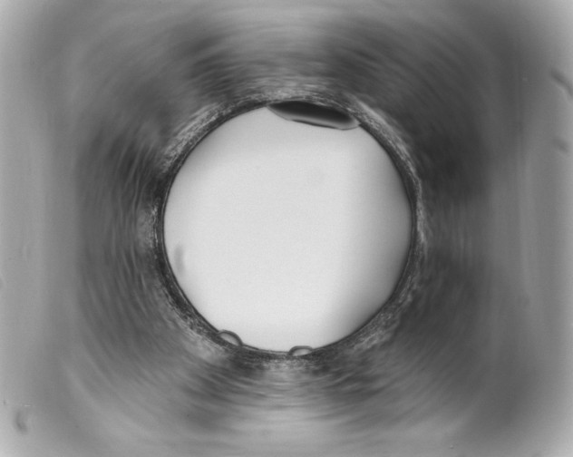 X0000099320105200805301224