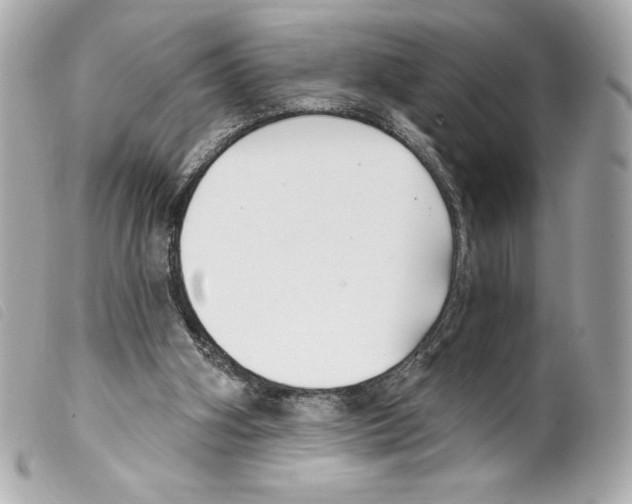 X0000099320106200805301224