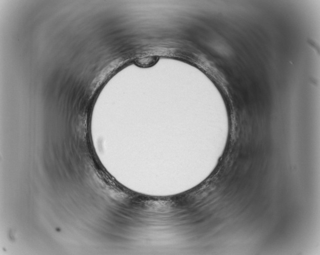 X0000099320107200805301224