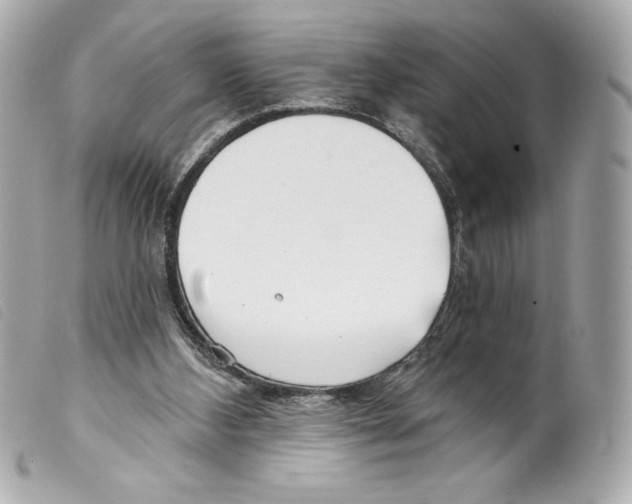 X0000099320108200805301224