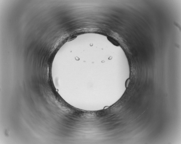 X0000099320110200805301224