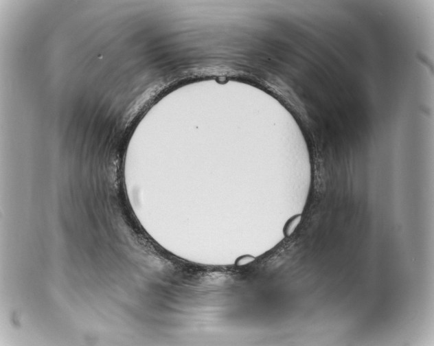 X0000099320111200805301224