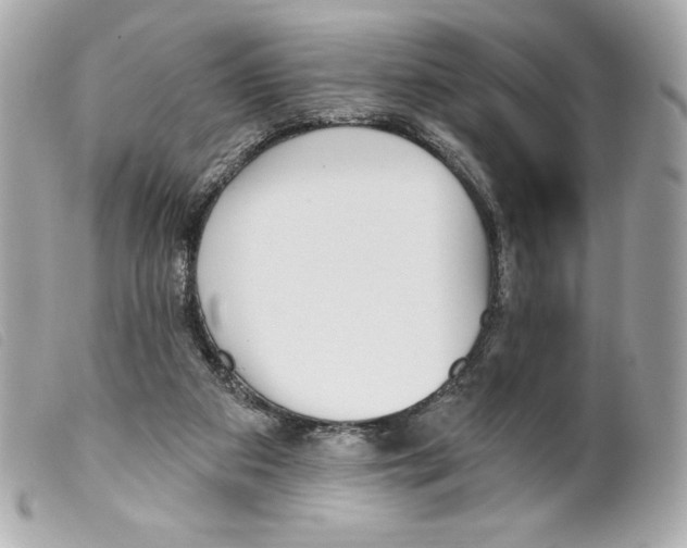 X0000099320113200805301224