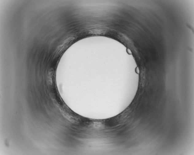 X0000099320114200805301224
