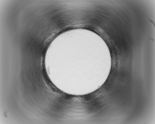 X0000099320115200805301224