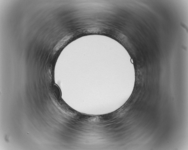 X0000099320116200805301224