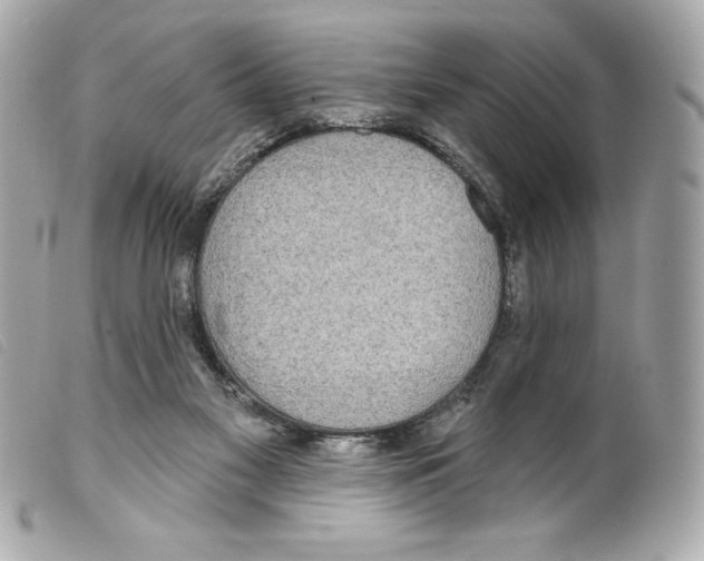X0000099320117200805301224