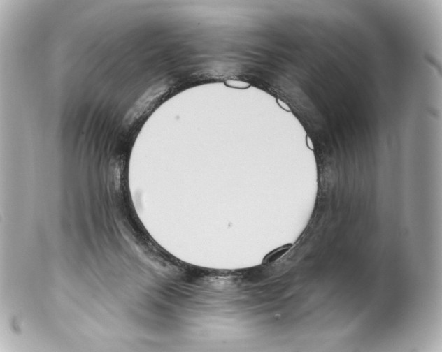 X0000099320120200805301224