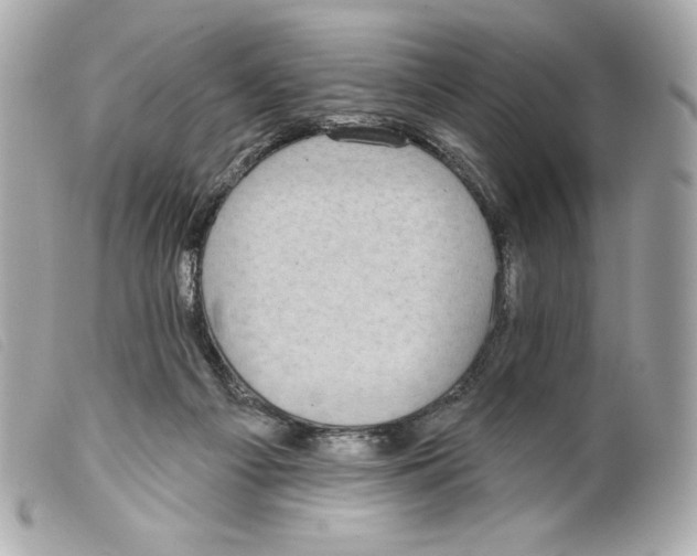 X0000099320121200805301224