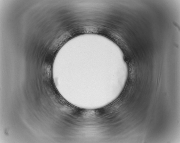 X0000099320123200805301224