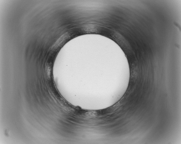 X0000099320124200805301224