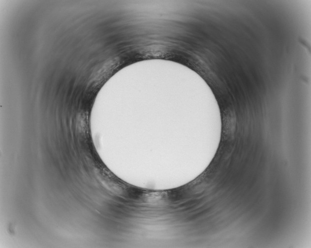 X0000099320126200805301224