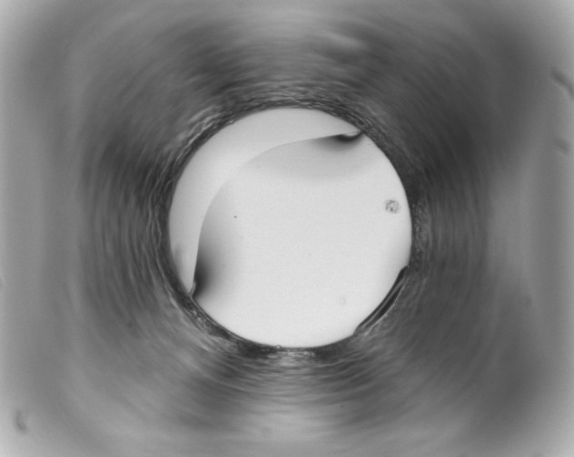 X0000099320128200805301224