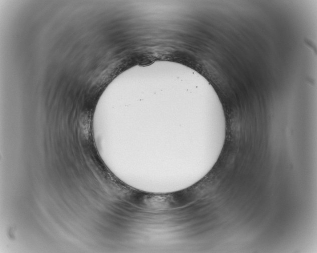 X0000099320129200805301224