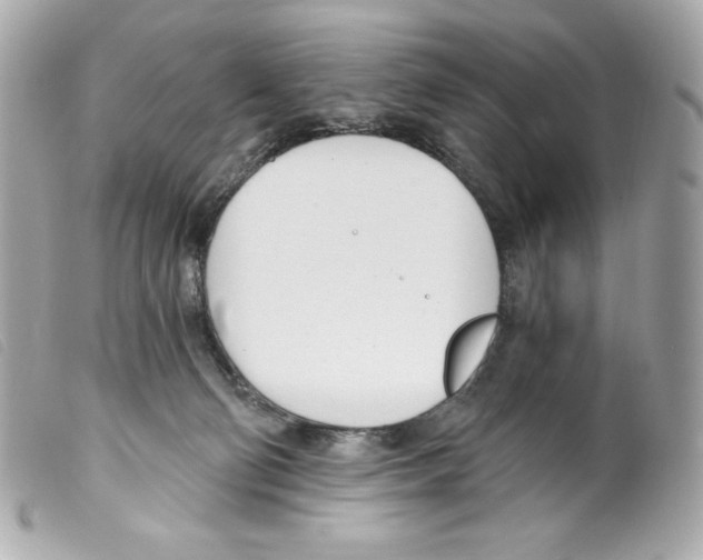 X0000099320130200805301224