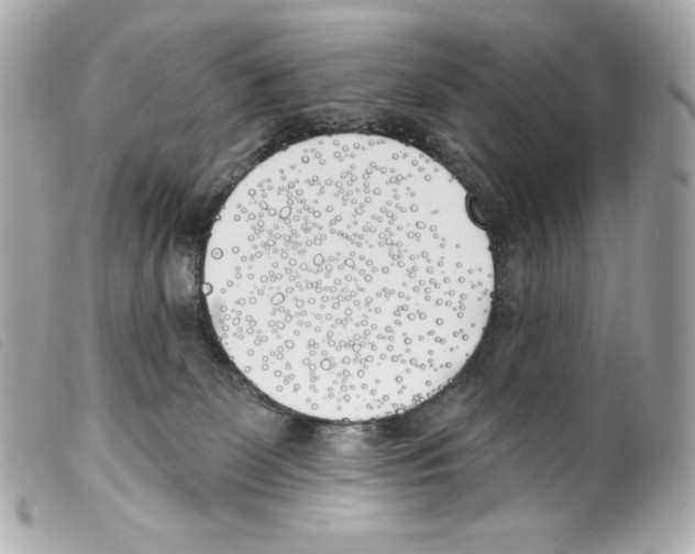 X0000099320131200805301224