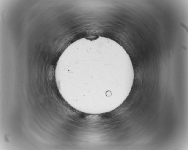 X0000099320133200805301224
