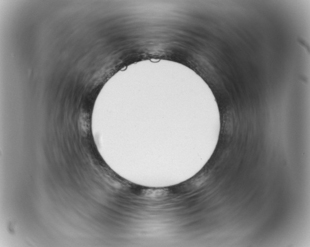 X0000099320135200805301224