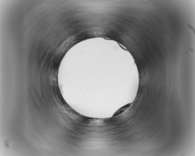 X0000099320140200805301223