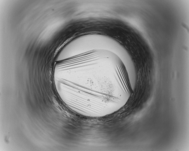 X0000099320146200805301223