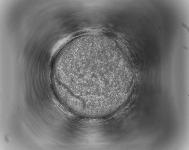 X0000099320149200805301223