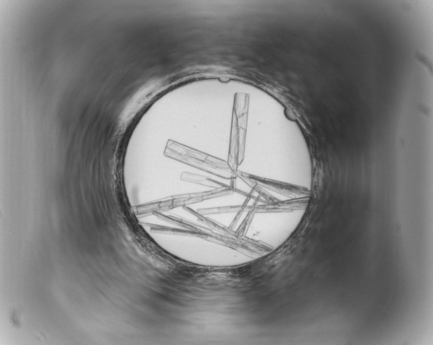 X0000099320151200805301223