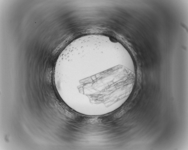 X0000099320153200805301223