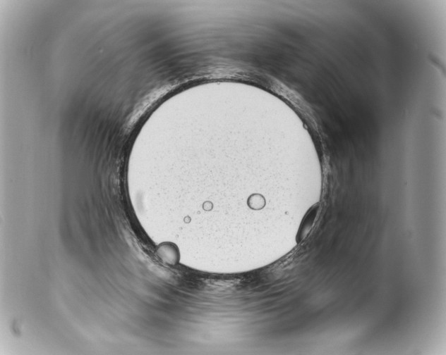 X0000099320155200805301223