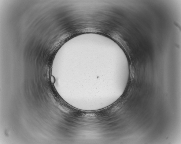 X0000099320157200805301223