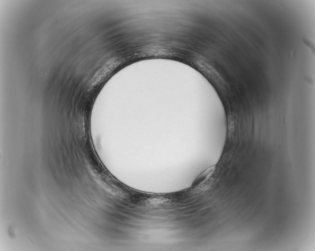 X0000099320158200805301223