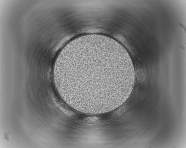 X0000099320159200805301223