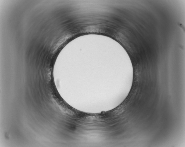 X0000099320160200805301223