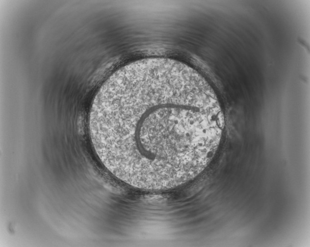 X0000099320161200805301223