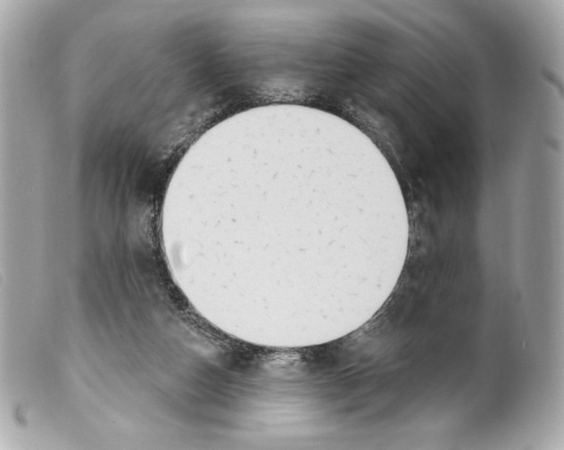 X0000099320162200805301223