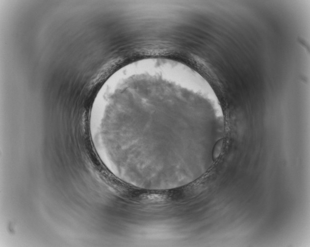 X0000099320163200805301223