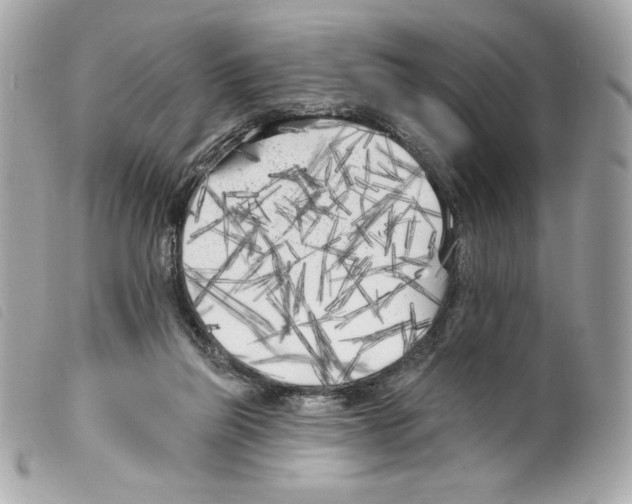 X0000099320165200805301223