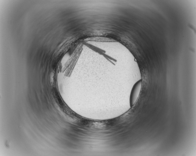 X0000099320166200805301223