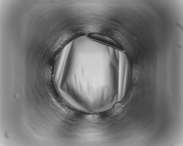 X0000099320168200805301223