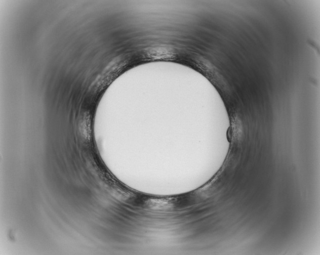 X0000099320170200805301223