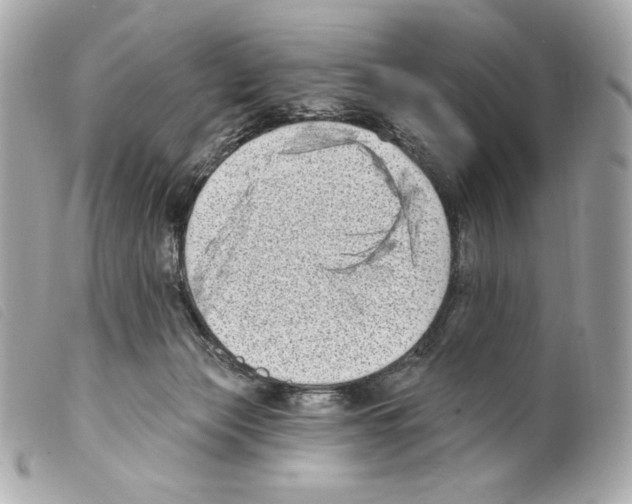 X0000099320173200805301223