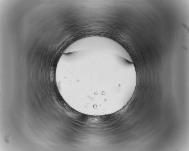 X0000099320174200805301223