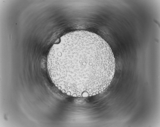 X0000099320175200805301223