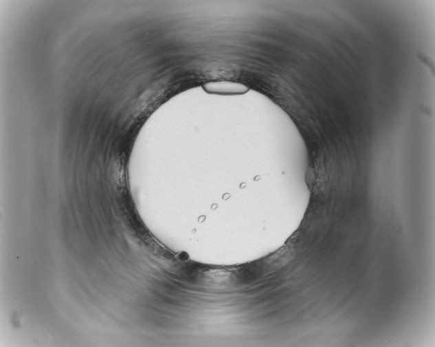 X0000099320176200805301223