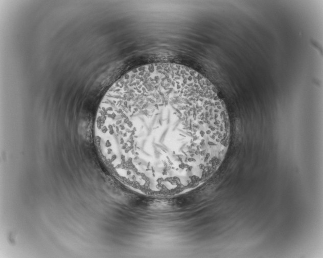 X0000099320177200805301223