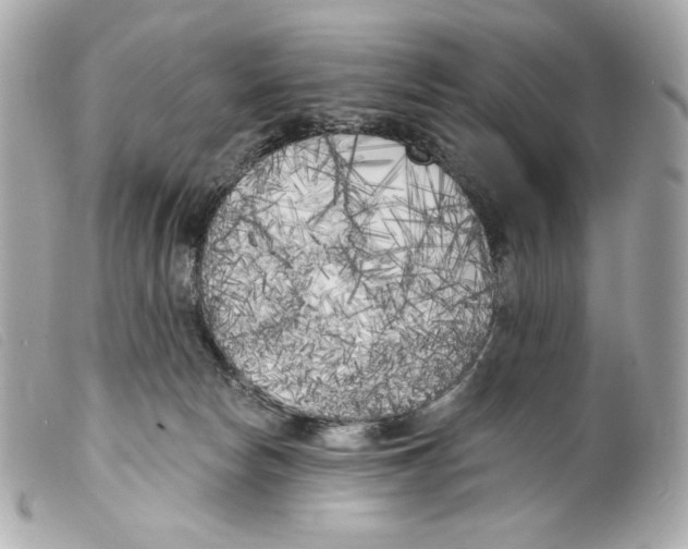 X0000099320178200805301223