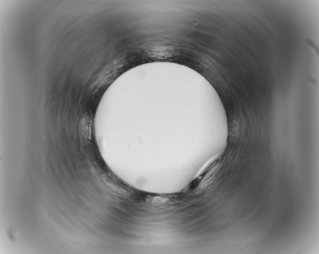 X0000099320180200805301223