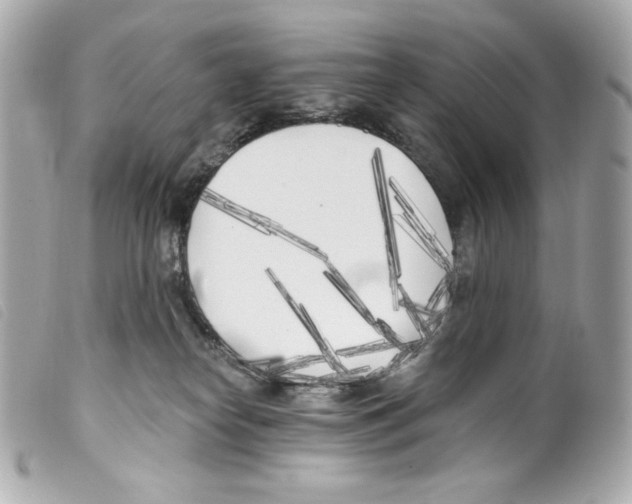 X0000099320182200805301223